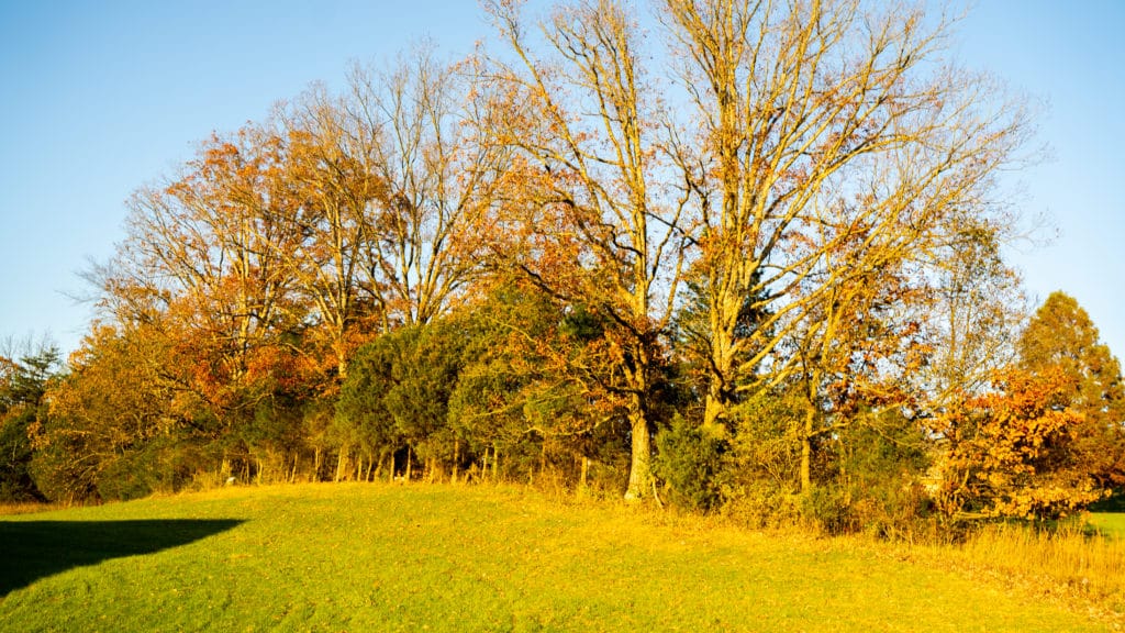 Finding The Right Environment For Addiction Rehabilitation in Kentucky