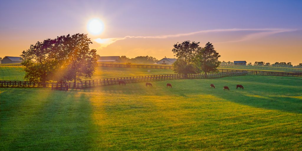 lexington ky drug rehab