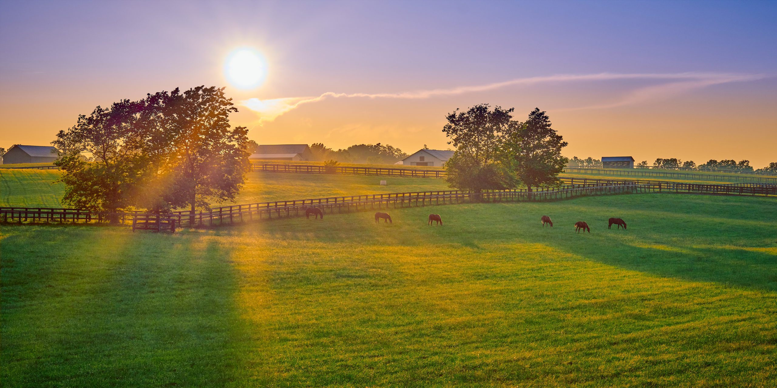 lexington ky drug rehab