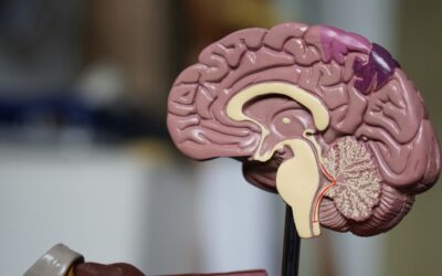 Addressing Psychosis in Treatment: Modern Strategies and Care Approaches